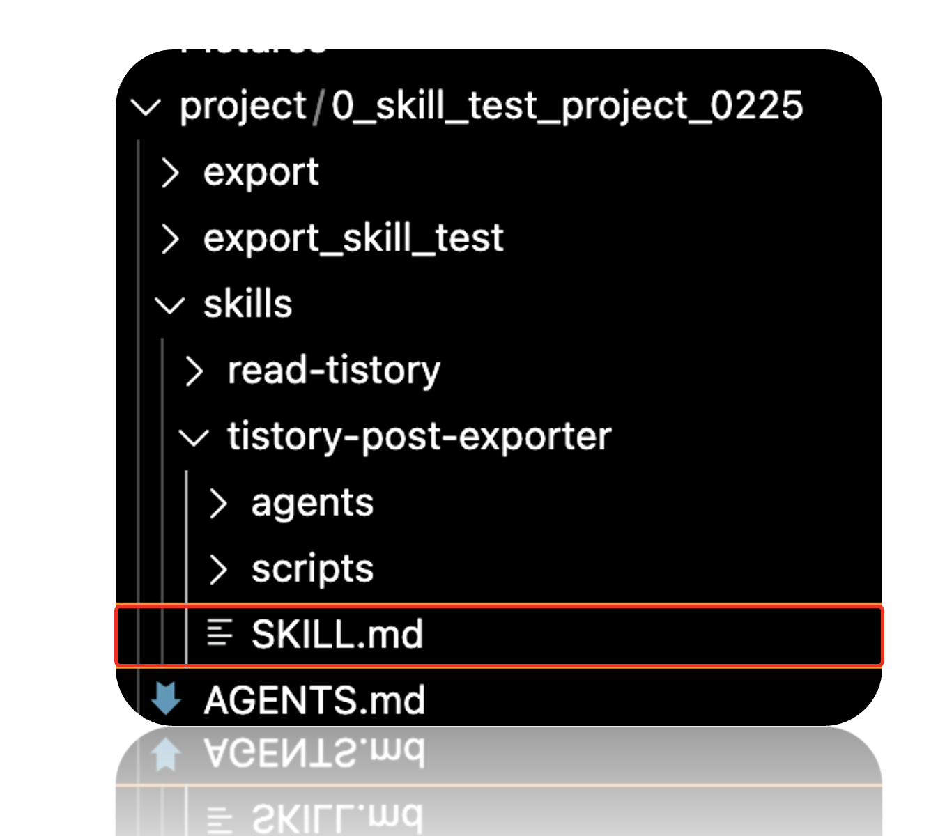 ๐ Agentic AI - skills