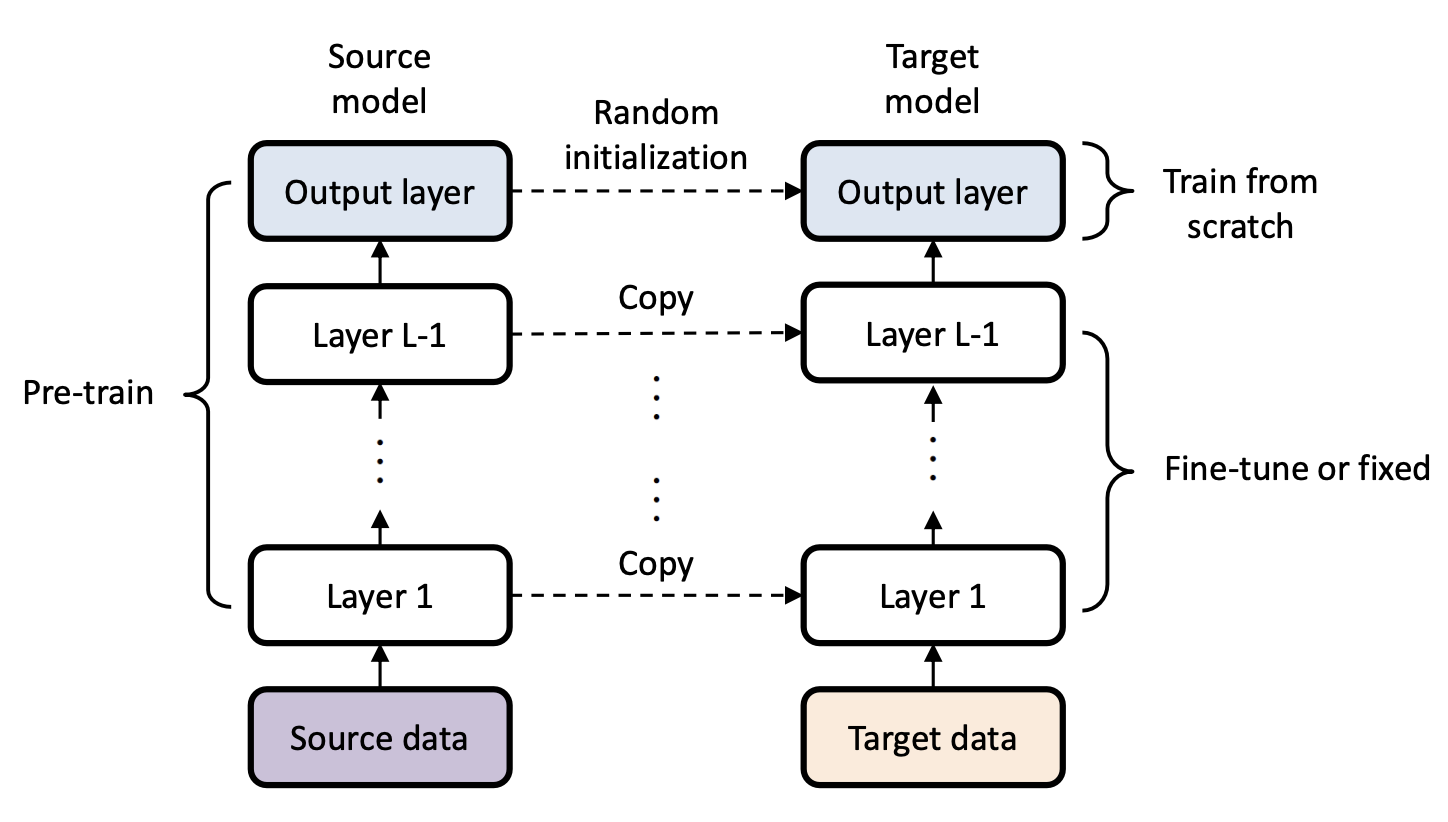 Pre-trained Model & Transfer Learning