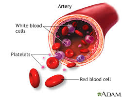 Blood Viscosity