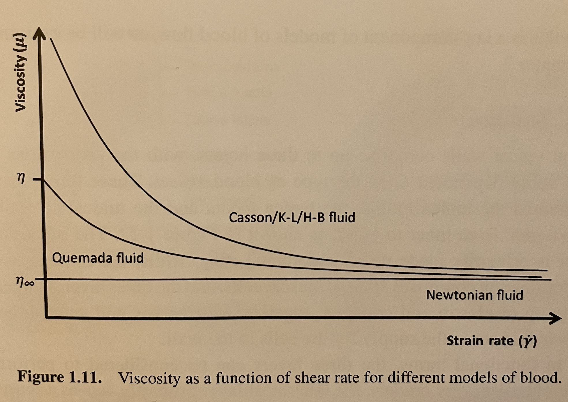 Blood Viscosity