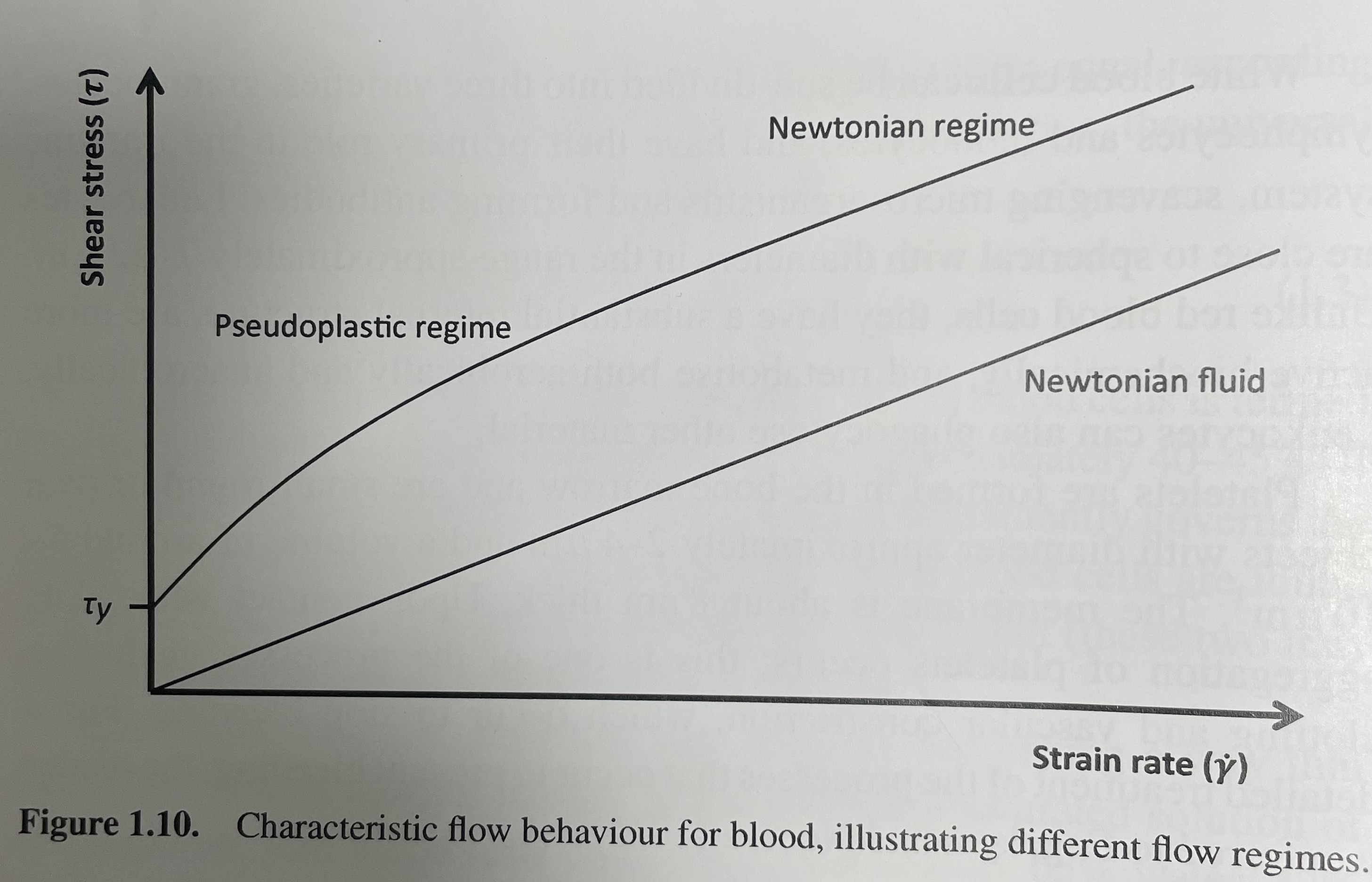 Cerebral Circulation & composition