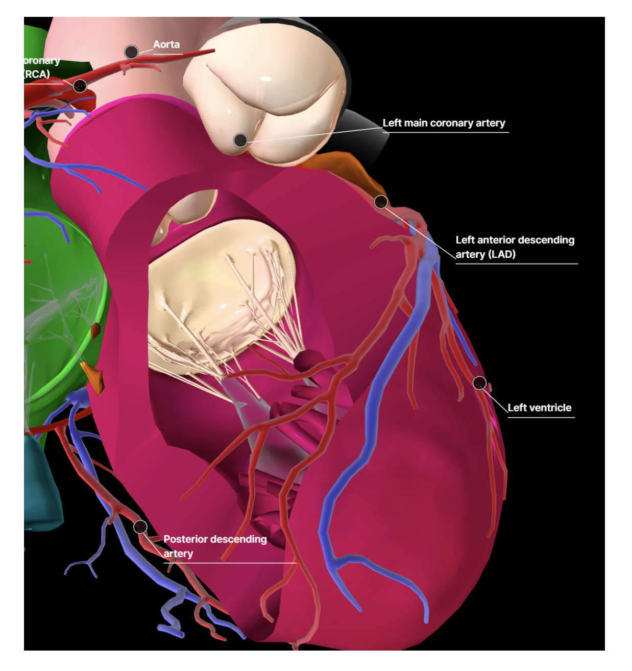 Lumped Parameter modeling_ coronary artery inlet boundary condition