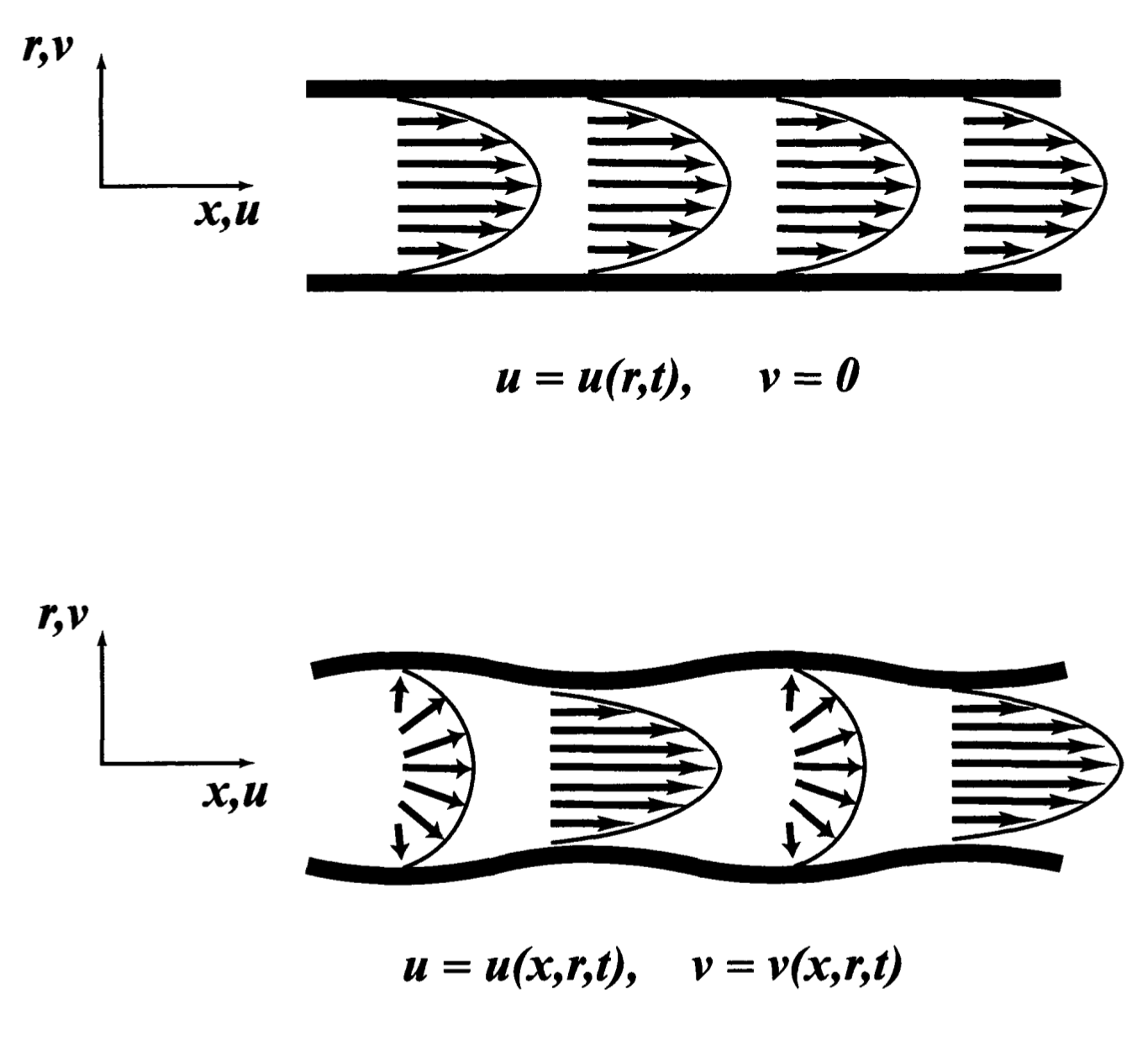 [Pulsatile flow] 1. Flow on a elastic tube
