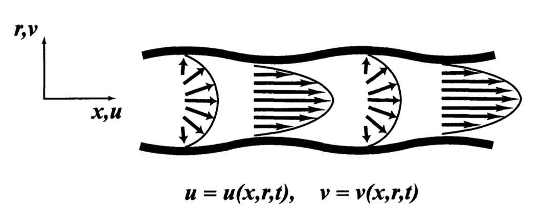 [Pulsatile flow] 1. Flow on a elastic tube