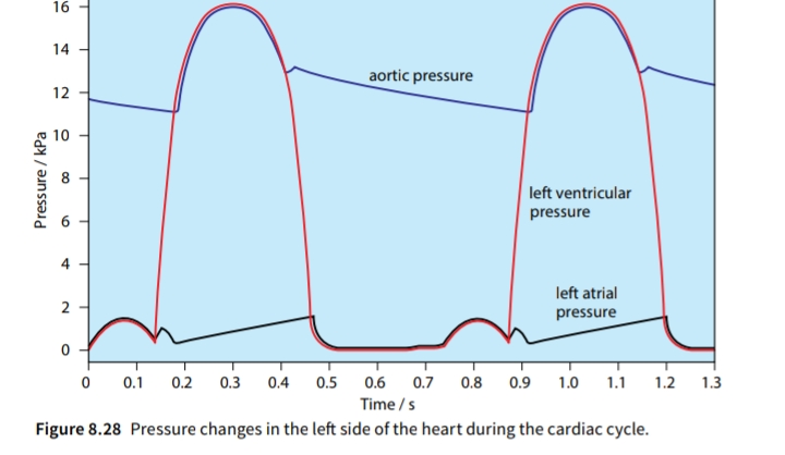 [Pulsatile flow] on a rigid tube _ 1. Velocity