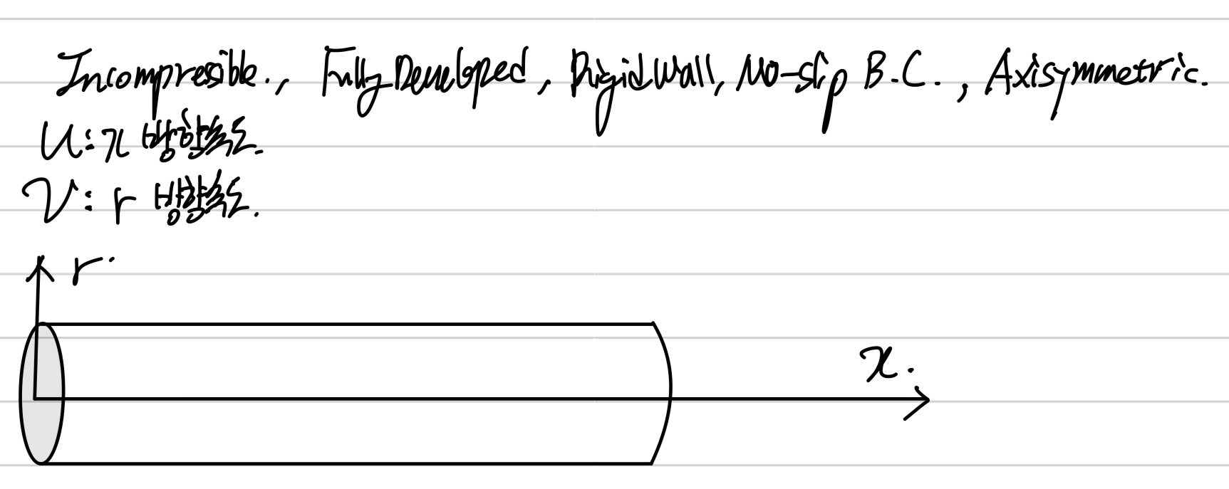 [Pulsatile flow] on a rigid tube _ 1. Velocity