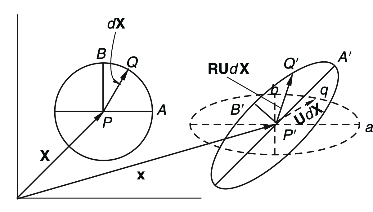 Ch1 Kinematics-part2 (F,C)